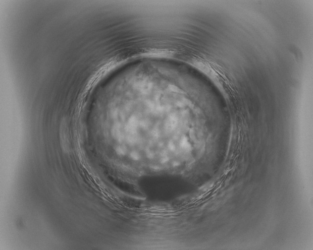 X0000116490337200912091425