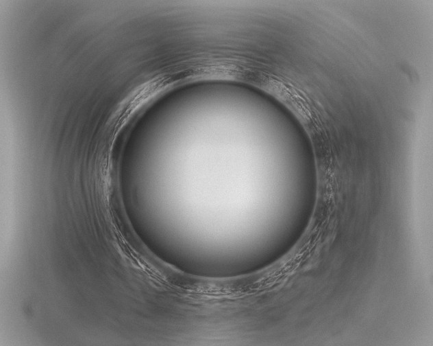 X0000116490338200912091425