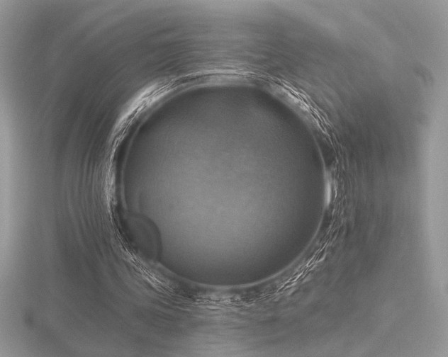 X0000116490339200912091425