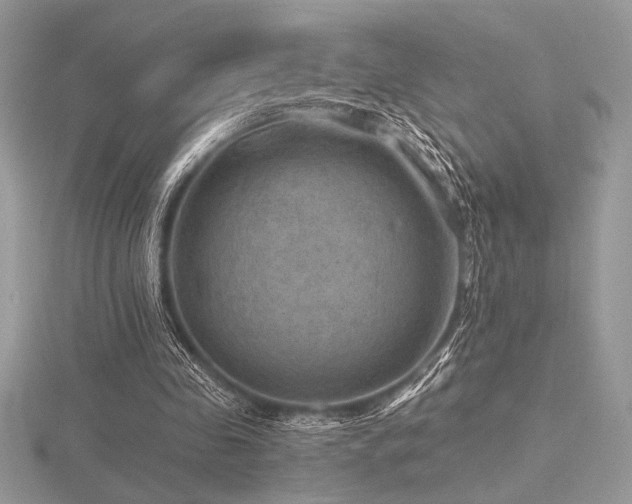 X0000116490341200912091425