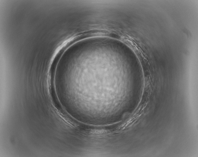 X0000116490342200912091425