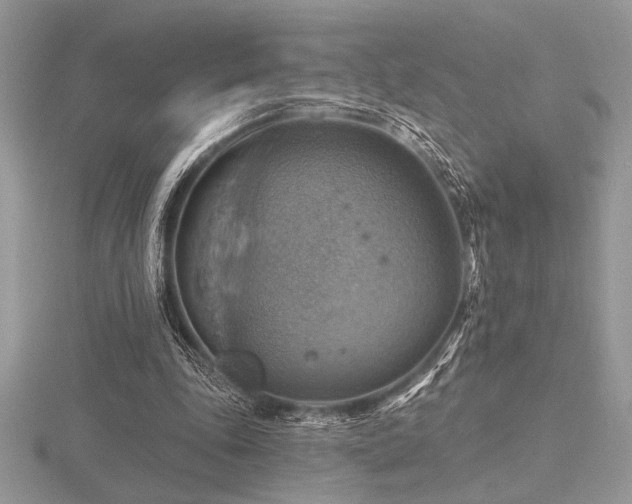 X0000116490343200912091425