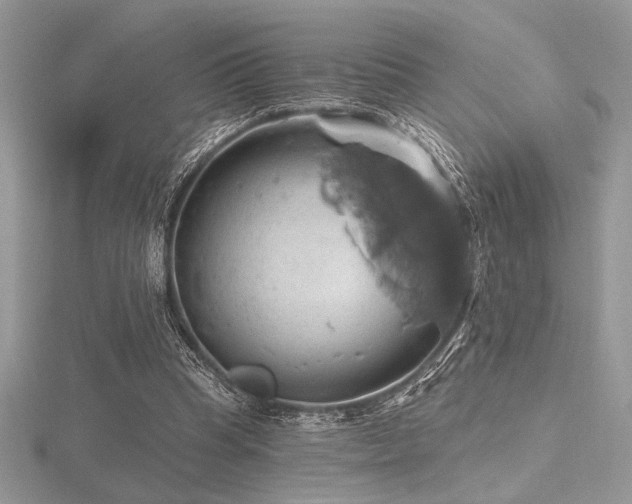 X0000116490345200912091425