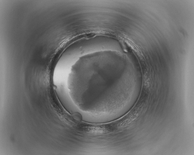 X0000116490347200912091425