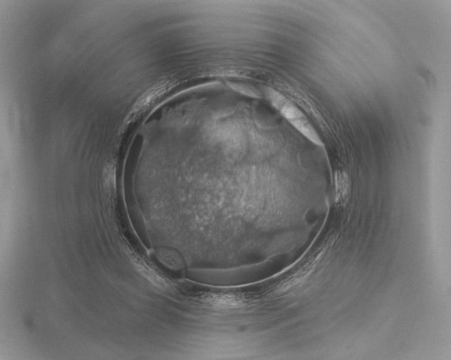 X0000116490349200912091425