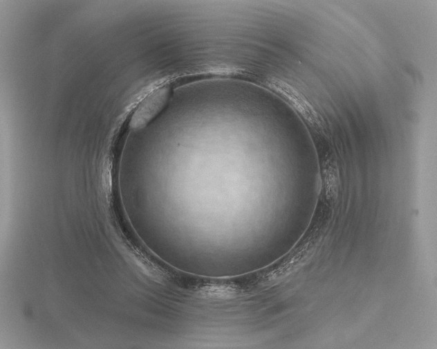 X0000116490350200912091425