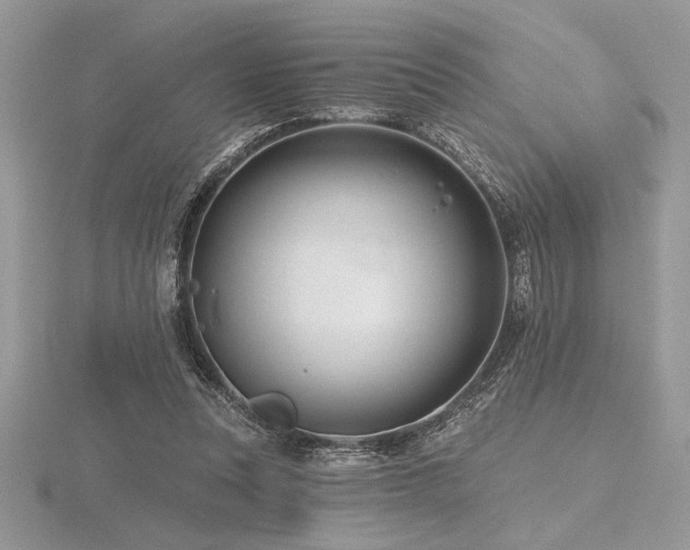 X0000116490351200912091425