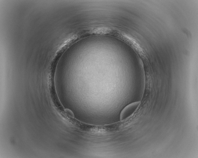 X0000116490354200912091425