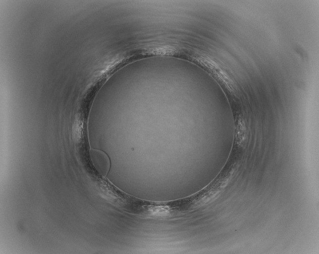 X0000116490355200912091425