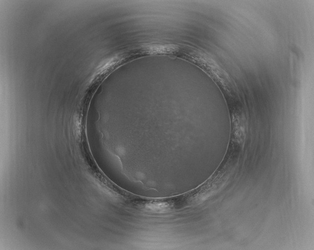 X0000116490357200912091425