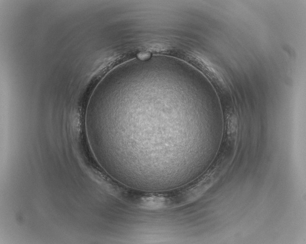 X0000116490362200912091425