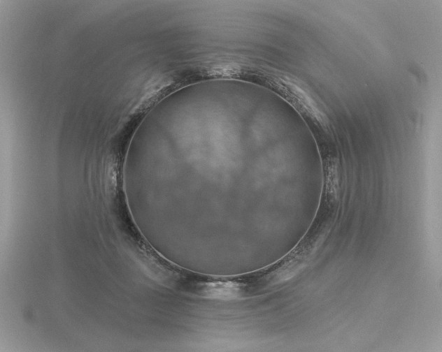 X0000116490363200912091425