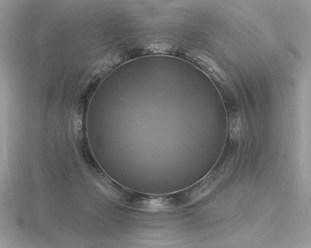 X0000116490365200912091425