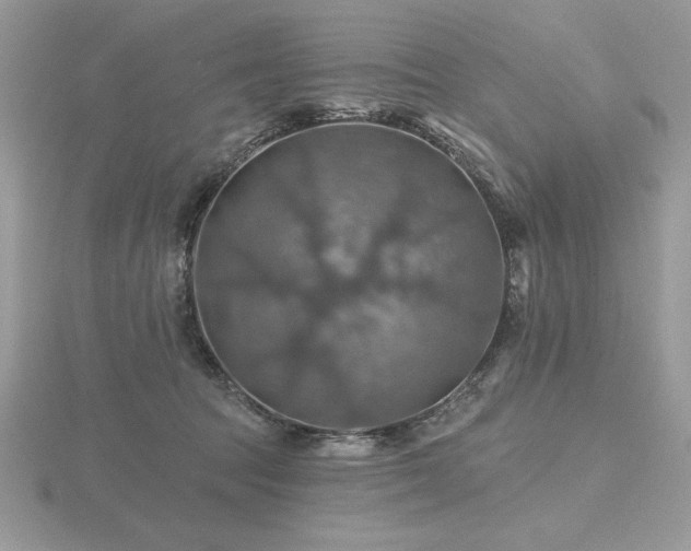 X0000116490369200912091425