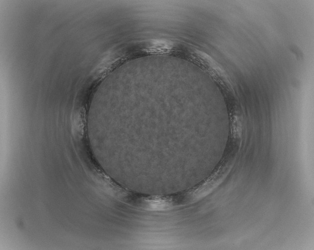 X0000116490370200912091425