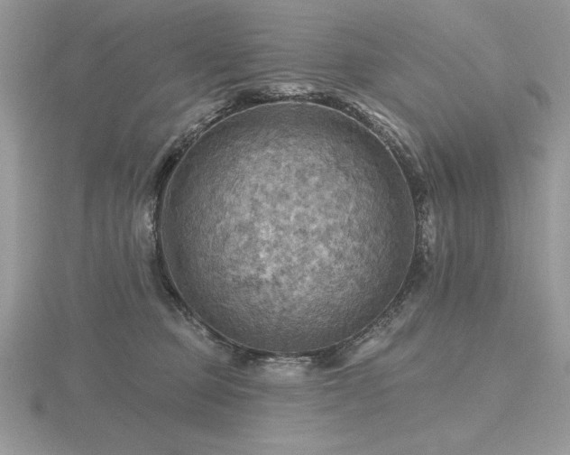 X0000116490373200912091425