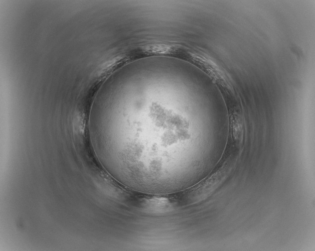 X0000116490374200912091425