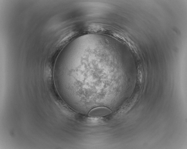 X0000116490375200912091425