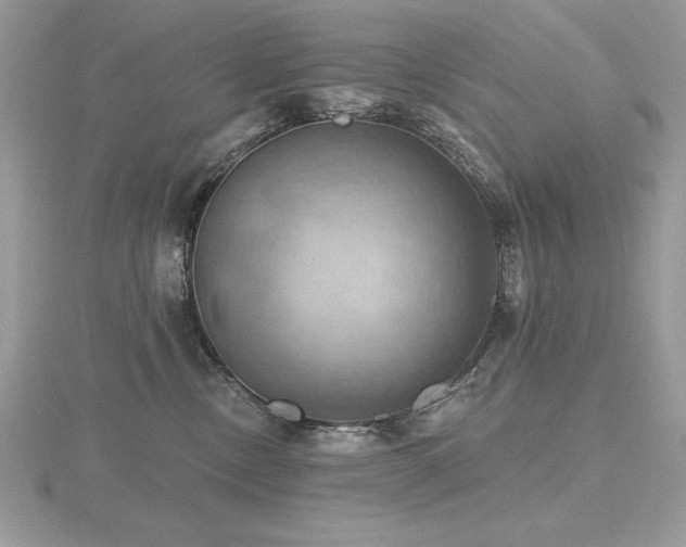 X0000116490378200912091425