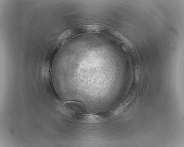 X0000116490379200912091425