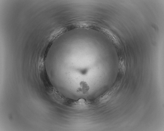 X0000116490381200912091425