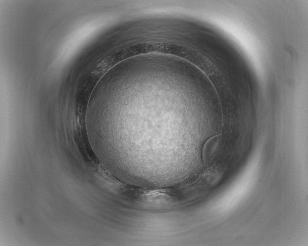 X0000116490382200912091425