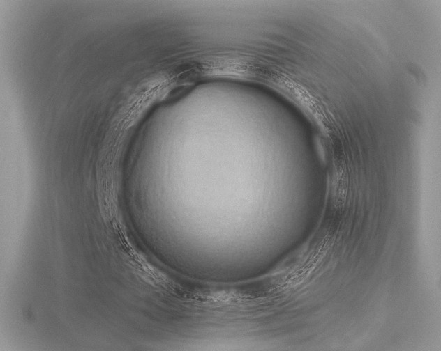 X0000116490385200912091425