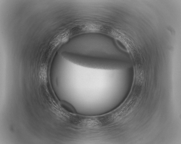 X0000116490386200912091425