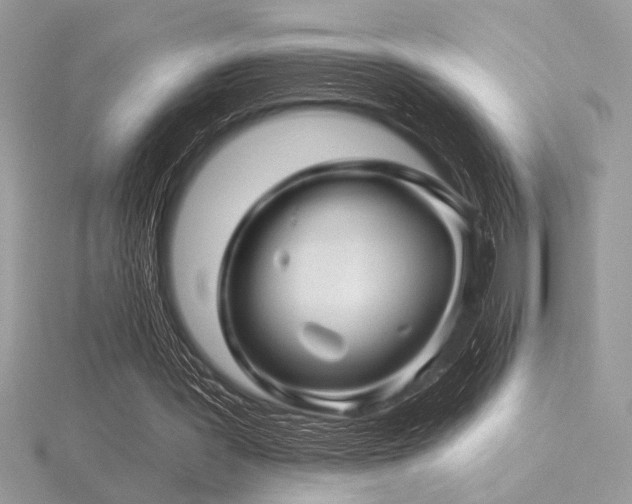 X0000116490387200912091425