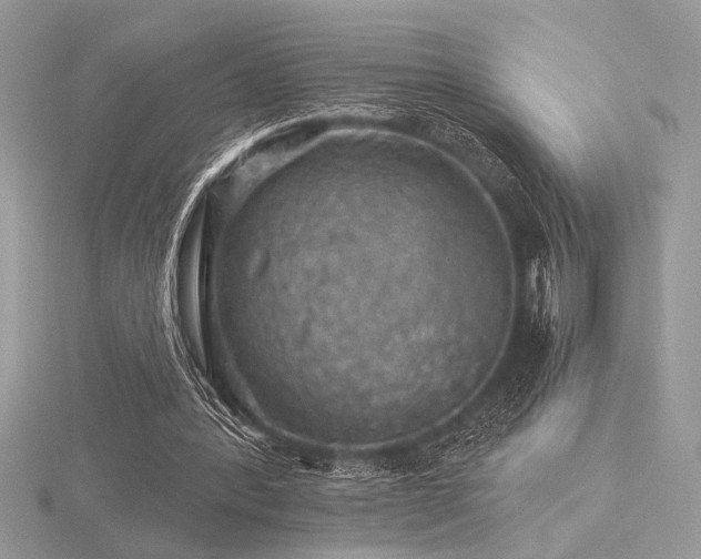 X0000116490388200912091425