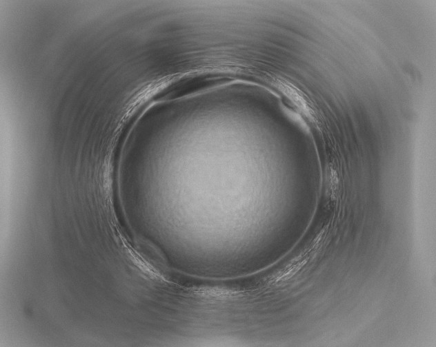 X0000116490389200912091425