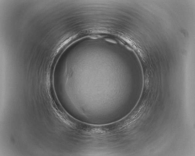 X0000116490390200912091425