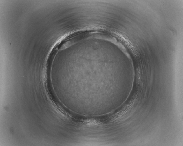 X0000116490392200912091425