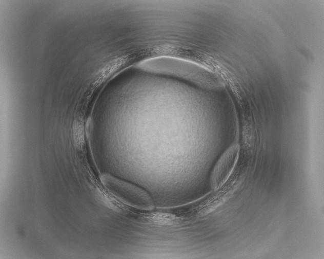 X0000116490393200912091425