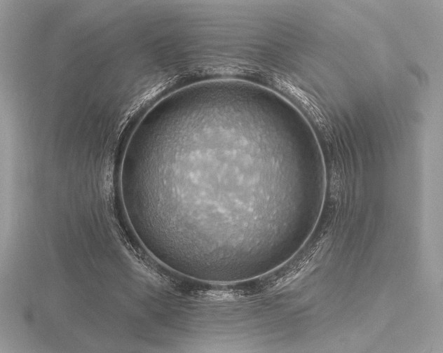 X0000116490394200912091425