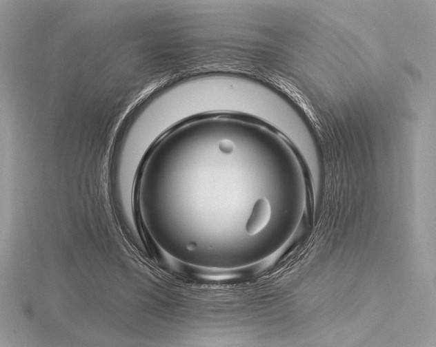 X0000116490395200912091425