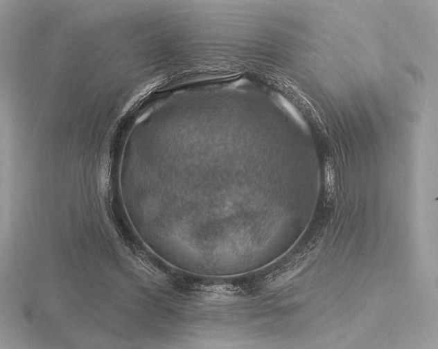 X0000116490396200912091425