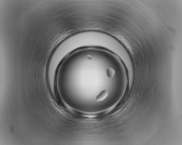 X0000116490397200912091425