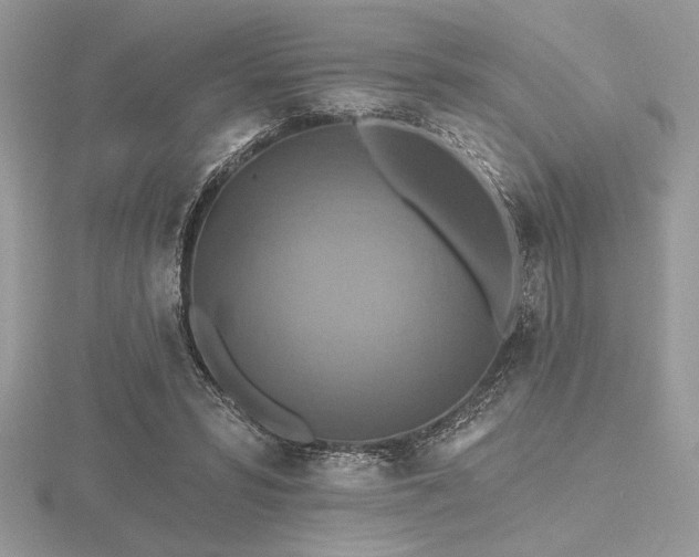 X0000116490399200912091425