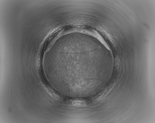 X0000116490400200912091425