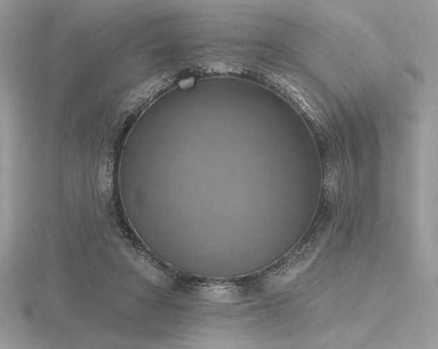 X0000116490402200912091425