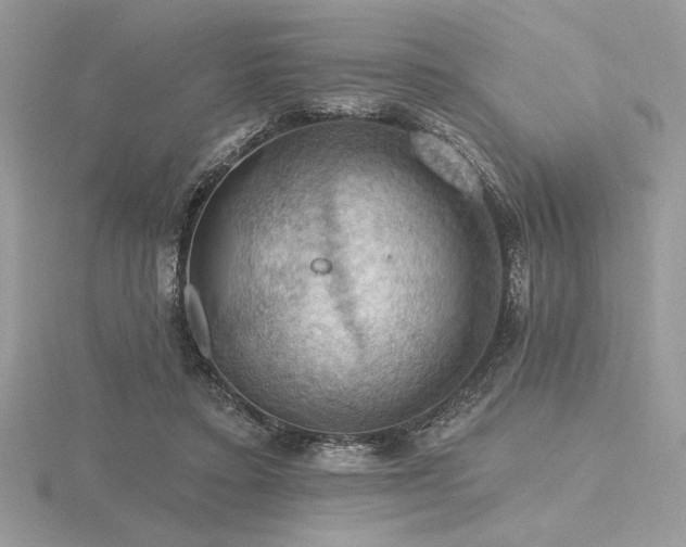 X0000116490403200912091425