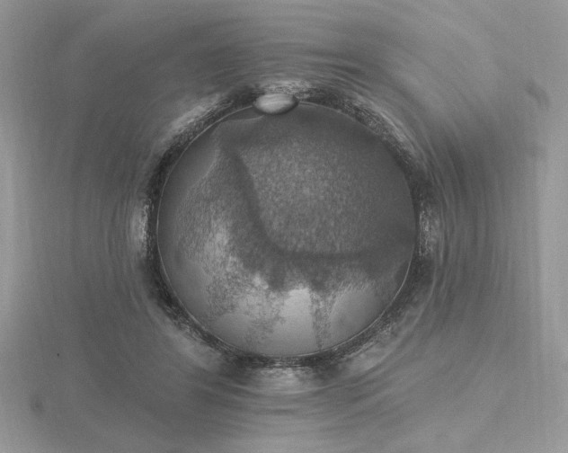 X0000116490404200912091425