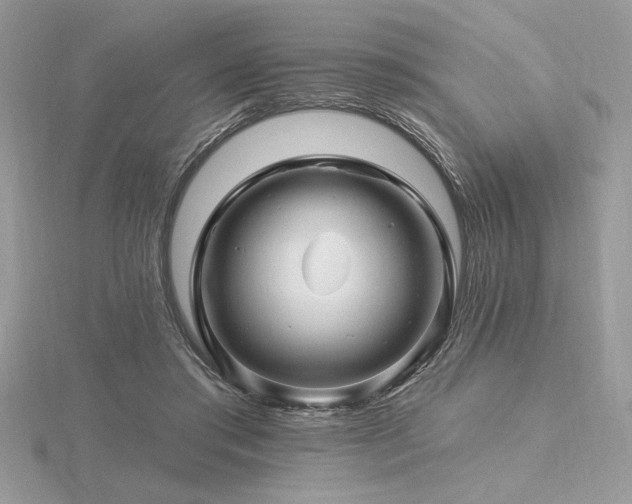 X0000116490405200912091425