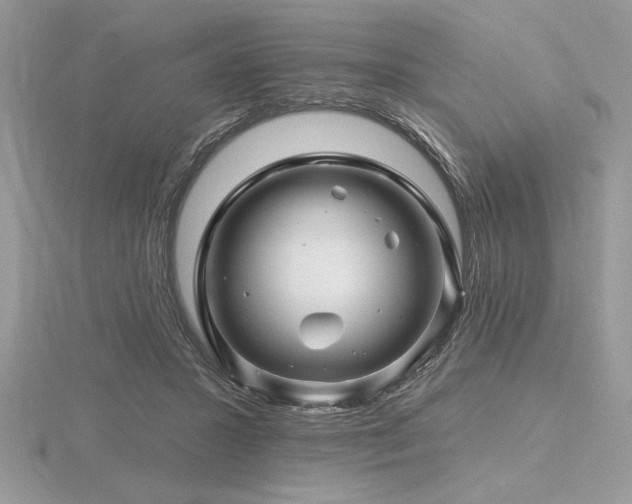 X0000116490407200912091425