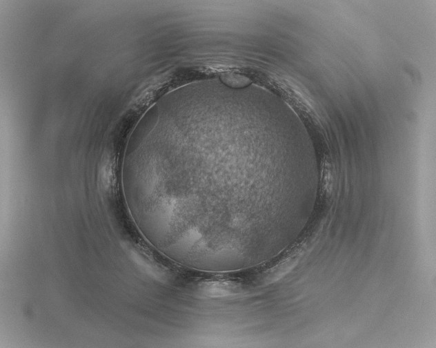 X0000116490408200912091425