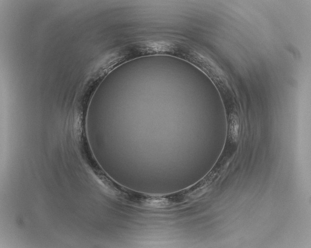 X0000116490410200912091425