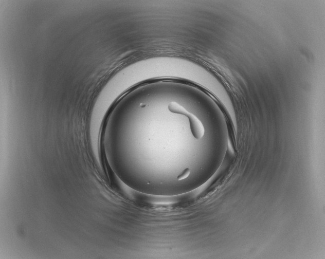 X0000116490413200912091424