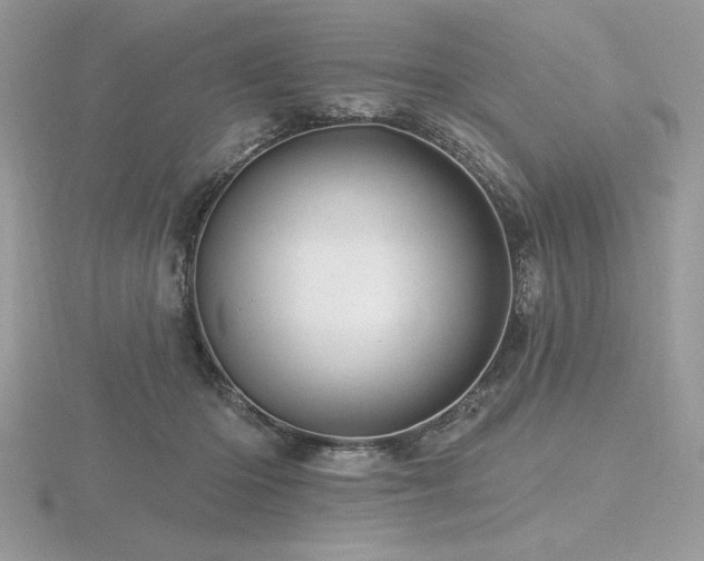 X0000116490414200912091424