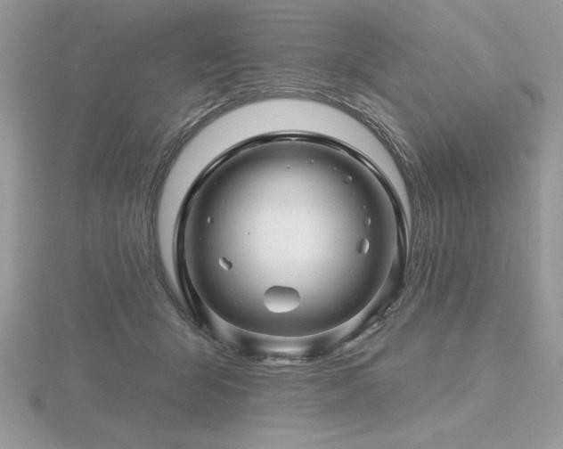 X0000116490415200912091424